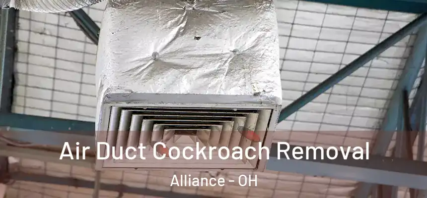  Air Duct Cockroach Removal Alliance - OH