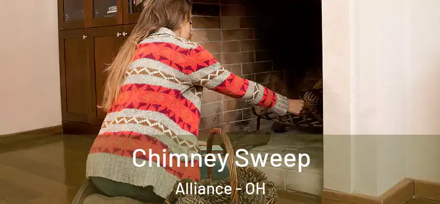  Chimney Sweep Alliance - OH