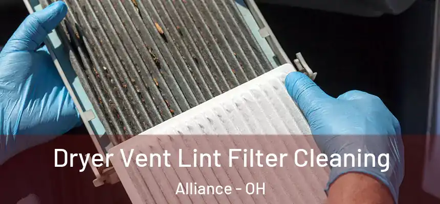  Dryer Vent Lint Filter Cleaning Alliance - OH
