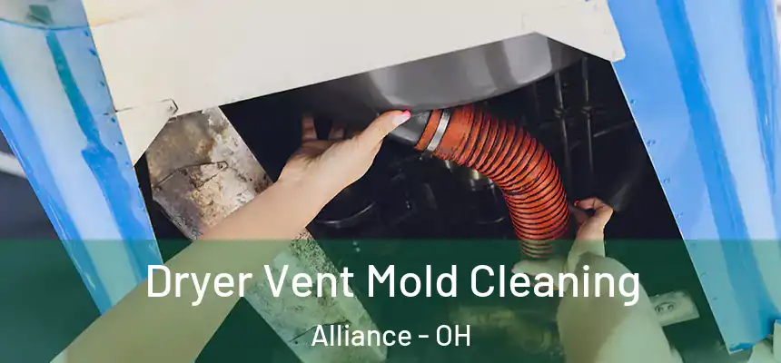 Dryer Vent Mold Cleaning Alliance - OH