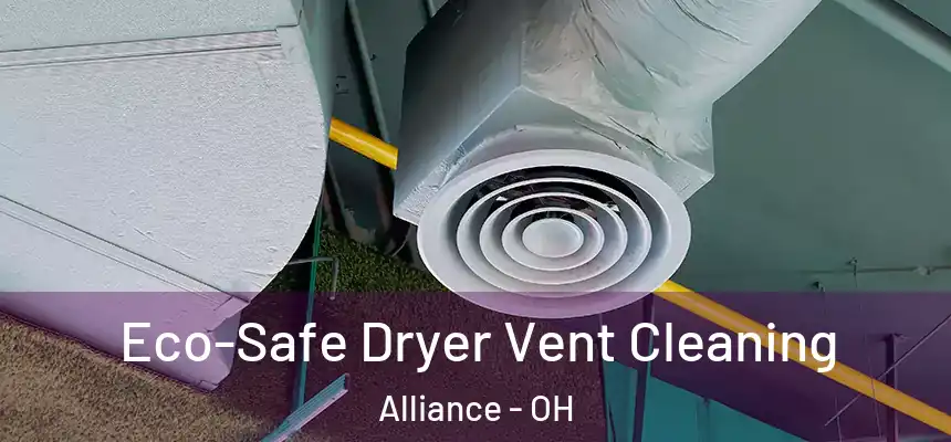  Eco-Safe Dryer Vent Cleaning Alliance - OH
