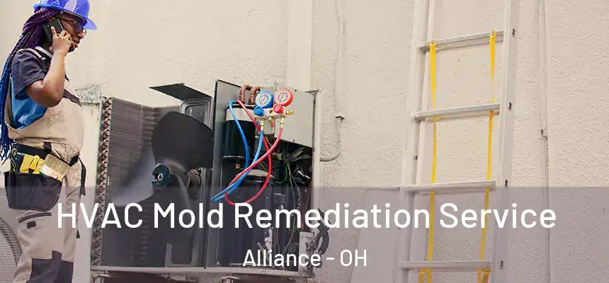  HVAC Mold Remediation Service Alliance - OH