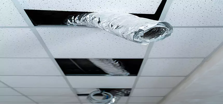 Affordable HVAC Sanitizing After Pest Removal in Alliance