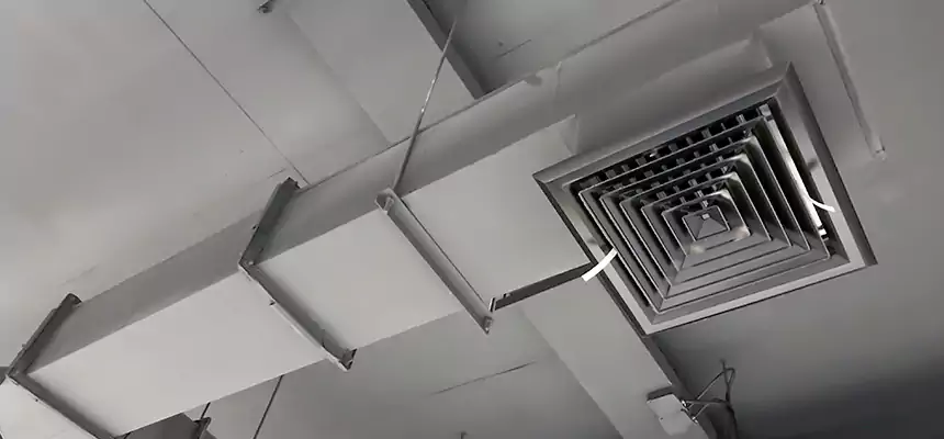 Our Rodent Droppings In Vents Services in Alliance, OH