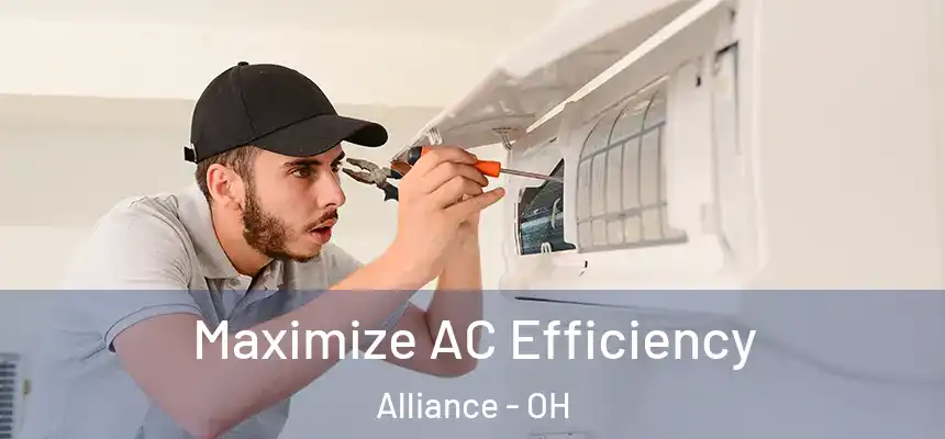  Maximize AC Efficiency Alliance - OH