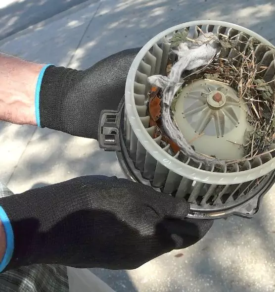 About Air Duct Mice Removal in Alliance, OH