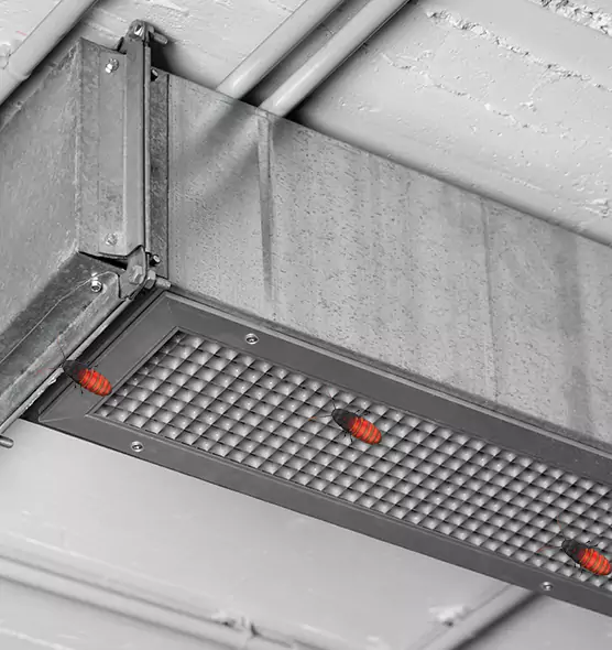 Affordable Insect Removal from Air Ducts in Alliance, OH